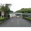 幼稚園、保育園