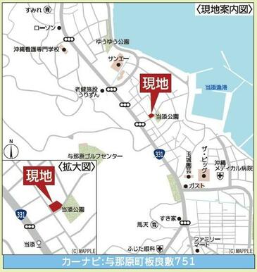 カーナビ表示