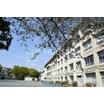 小学校