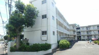 地上３階建て★小型犬１匹飼育可能マンション★