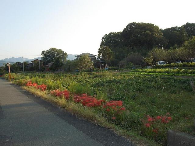 物件画像 宮若市 竹原 事業用地