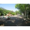 公園