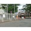 幼稚園、保育園