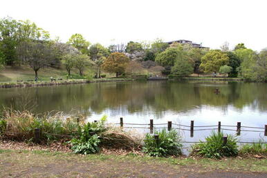 徳生公園、池