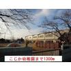 幼稚園、保育園