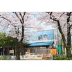 幼稚園、保育園