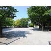 公園