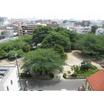 公園
