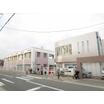 幼稚園、保育園