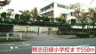 鴨志田緑小学校