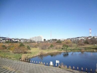 長津川親水公園