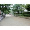 公園