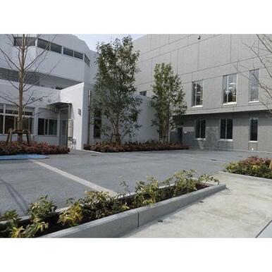 杉並区立杉並和泉学園新泉和泉小学