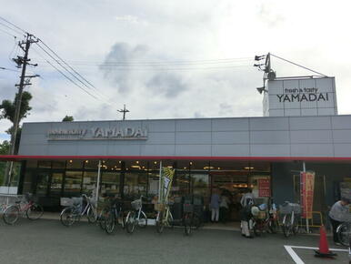 ヤマダイアオヤマ店