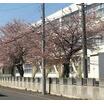 小学校