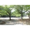 公園