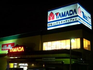 ヤマダ電機テックランド向ヶ丘店