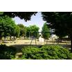 公園