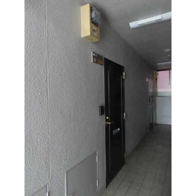 郵便受け付玄関ドア