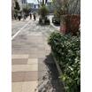 共有部分