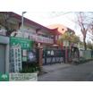 幼稚園、保育園