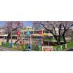 幼稚園、保育園