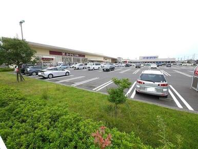 ヨークベニマル新田東店