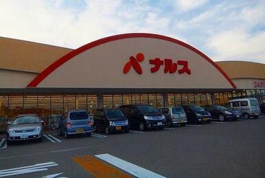 ナルス国府店