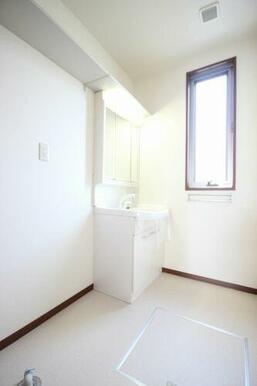 ノズルが延びて洗髪も可能。化粧台隣は洗濯機置場です。