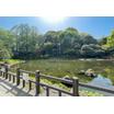 公園