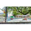 幼稚園、保育園