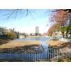 公園