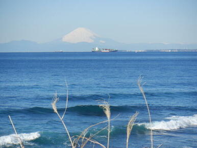 海岸