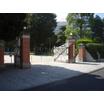 大学