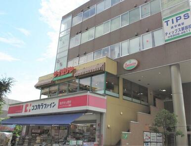 サイゼリヤ足立新田店