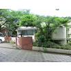 幼稚園、保育園