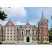 大学