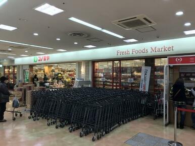 コノミヤ　高石店