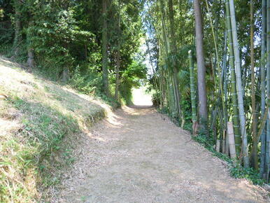 竹のある山道の左手が当物件です（この写真の山道は含みません）