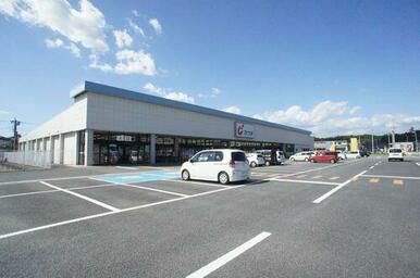 ドラッグストア：カワチ薬品佐野店まで車で３分