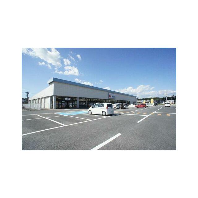 ドラッグストア：カワチ薬品佐野店まで車で３分