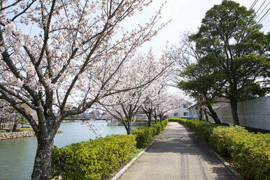 九華公園　徒歩１１分