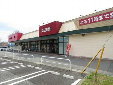 カスミ大芝店