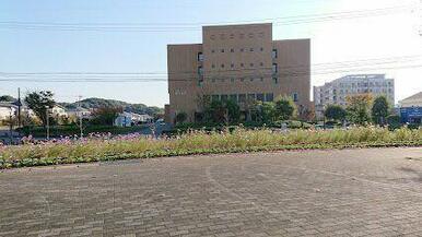 やよいがおか鹿毛病院