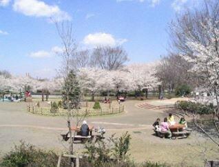 東村山中央公園