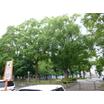 公園