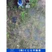 周辺環境
