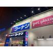 販売店