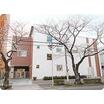 幼稚園、保育園