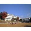 中学校